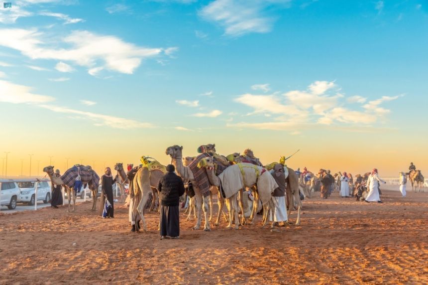 سباقات الهجن في مهرجان الملك عبدالعزيز للإبل - واس