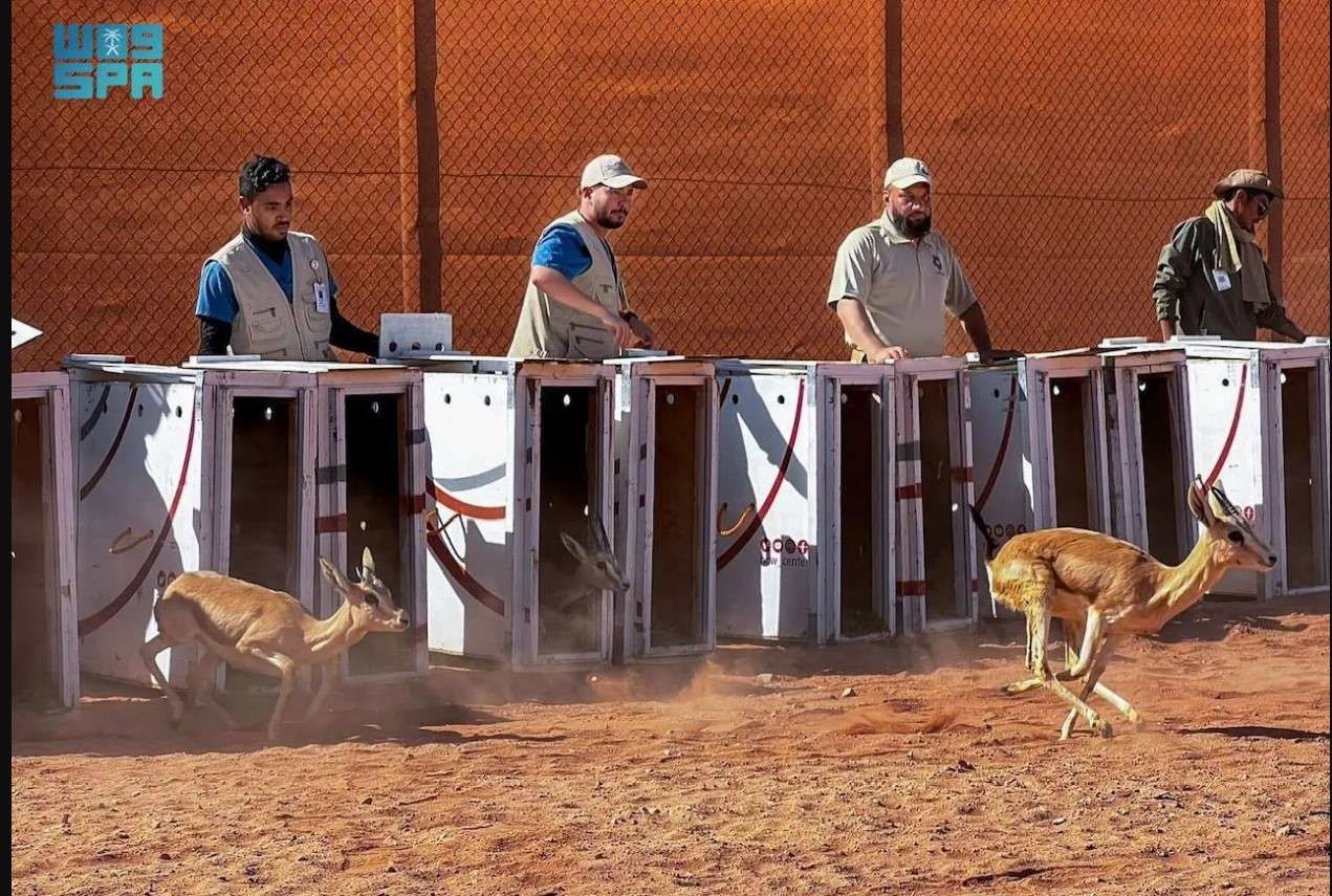 إعادة كائنات مهددة بالانقراض