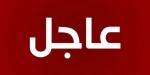 النائب فضل الله: لم تتدخل ايران في قرار حزب الله في مساندة غزة ,والقرار في زمن السيد كان قرار لبناني وفي ظل سماحة الشيخ نعيم قاسم هو قرار لبناني - اخبارك الان