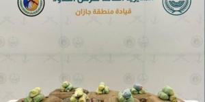 إحباط تهريب (200) كجم من القات بـالعارضة - اخبارك الان