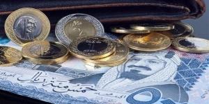 سعر الريال السعودى اليوم السبت 4 يناير 2025 فى مصر مقابل الجنيه المصرى - اخبارك الان