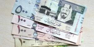 سعر الريال السعودي اليوم الأربعاء 15 يناير 2025 مقابل الجنيه المصري في البنوك والسوق السوداء - اخبارك الان