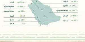 إنتاج التمور يقترب من مليوني طن - اخبارك الان