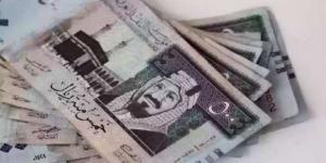 سعر الريال السعودي اليوم الثلاثاء 21-1-2025 مقابل الجنيه المصري - اخبارك الان