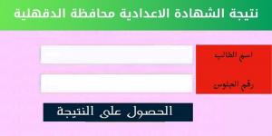 كيفية الحصول على نتيجة الشهادة الإعدادية لمحافظة الدقهلية.. 7 خطوات - اخبارك الان