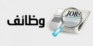 بمرتبات تصل إلى 3600 ريال.. تفاصيل وظائف المصريين في السعودية 2025 - اخبارك الان