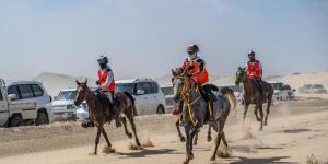 مهرجان سلطان بن زايد للقدرة يستأنف فعالياته - اخبارك الان