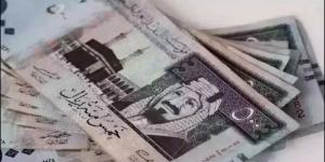 سعر الريال السعودي مقابل الجنيه المصري اليوم الأحد 2 فبراير 2025 - اخبارك الان