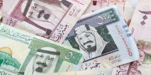 سعر الريال السعودي اليوم الثلاثاء 4-2-2025أمام الجنيه المصري في البنوك - اخبارك الان