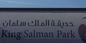مهندس ألماني: حديقة الملك سلمان ستُخفض حرارة الرياض 12 درجة مئوية - اخبارك الان
