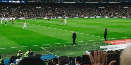 الدوري السعودي يتقدم بعرضاً خرافياً لضم ماماردا شفيلي في الميركاتو الصيفي - اخبارك الان