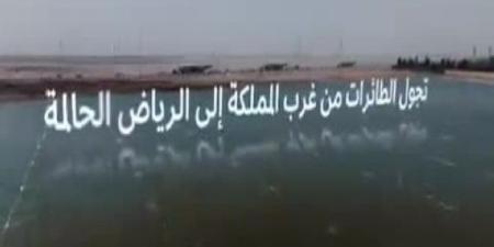 المملكة تقود تحوّل قطاع الخدمات اللوجستية العالمية - اخبارك الان