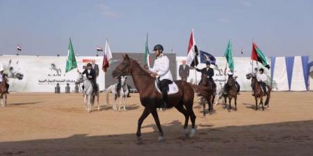 «السياحة» تشارك في حفل افتتاح مهرجان الشرقية للخيول العربية - اخبارك الان