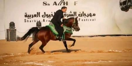 إعلان جوائز الفائزين فى مسابقة تراث أدب الخيل بمهرجان الشرقية للخيول العربية - اخبارك الان