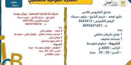 وزارة العمل تعلن عن 7878 فُرصة عمل جديدة في 101 شركة خاصة - اخبارك الان