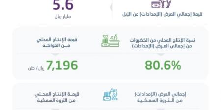 الإحصاء: الإنتاج المحلي من الخضروات يوفر %80.6 من إجمالي احتياجات المملكة - اخبارك الان