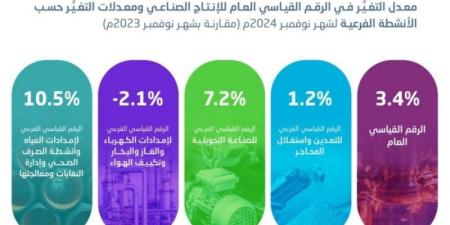 ارتفاع الرقم القياسي للإنتاج الصناعي بنسبة %3.4 خلال نوفمبر 2024 - اخبارك الان