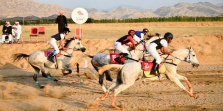 انطلاق سباق الفروسية الخامس بمحافظة الحجرة - اخبارك الان