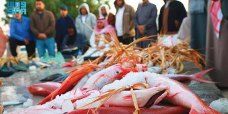 حيوية ورزق وثروة وجمال - اخبارك الان