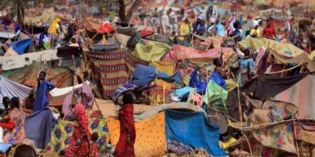 في 5 أيام.. آلاف السودانيين يفرون من بلدة أم روابة في جنوب البلاد - اخبارك الان