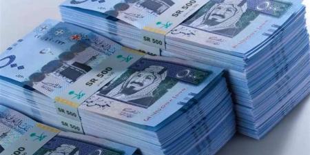 سعر الريال مقابل الجنيه المصري والعملات العربية اليوم الإثنين 13-7-1446 - اخبارك الان