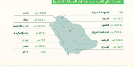 إنتاج المملكة من التمور يقترب من مليوني طن في 2023م - اخبارك الان