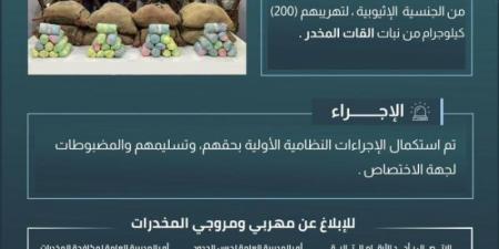 حرس الحدود بعسير يقبض على (8) مخالفين لتهريبهم (200) كيلوجرام من القات المخدر - اخبارك الان