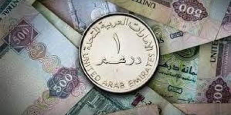 سعر الدرهم الإماراتى في مصر اليوم الأحد 19 يناير 2025 - اخبارك الان