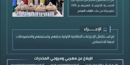 حرس الحدود بعسير يقبض على 9مخالفين لنظام أمن الحدود لتهريبهم 120 كيلوجرامًا من نبات القات المخدر - اخبارك الان