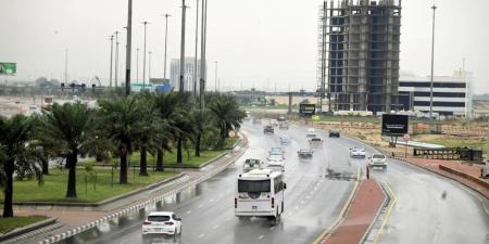 الطقس في المملكة.. هطول أمطار على أجزاء من منطقة الباحة - اخبارك الان