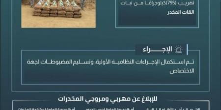 حرس الحدود بعسير يحبط تهريب (795) كيلوجرامًا من القات المخدر - اخبارك الان