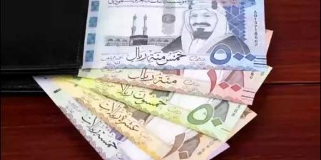 ارتفاع سعر الريال السعودي أمام الجنيه المصري اليوم الجمعة بسبب عمرة رمضان - اخبارك الان