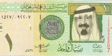 سعر الريال السعودي مقابل الجنيه المصري اليوم الجمعة 31 يناير 2025 - اخبارك الان