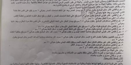 إحالة طالب حلوان للمحاكمة بتهمة قتل زميله داخل الجامعة - اخبارك الان