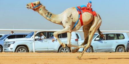 4546 كم رحلة جائزة سيف السعودية 2025 - اخبارك الان