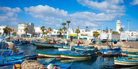 المهدية: أغلب المواد الغذائية ستكون متوفرة بالكميات المناسبة خلال شهر رمضان المعظّم - اخبارك الان