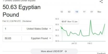 الأخضر يستقر.. سعر الدولار اليوم الأربعاء 12 فبراير 2025 في البنوك - اخبارك الان