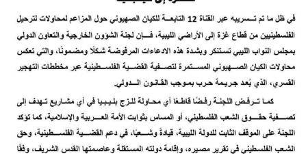 لجنة الخارجية النيابية: رفض قاطع لأي مخططات تهجير للشعب الفلسطيني - اخبارك الان