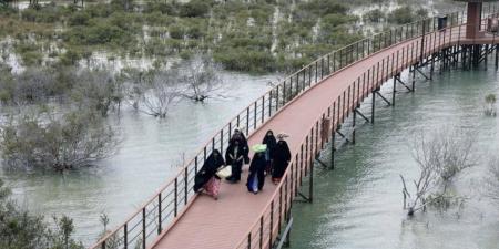 جسر بين الماضي والحاضر - اخبارك الان