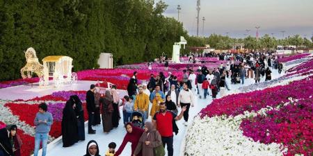 فعاليات وعروض فنية نظمتها الهيئة الملكية بينبع احتفاء بـ"يوم التأسيس" - اخبارك الان