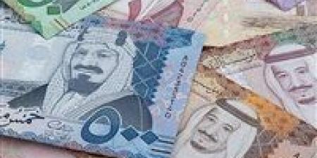 سعر الريال السعودي والدينار الكويتي اليوم الاثنين في مصر - اخبارك الان