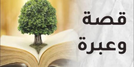 من أجمل ما قرأت - اخبارك الان