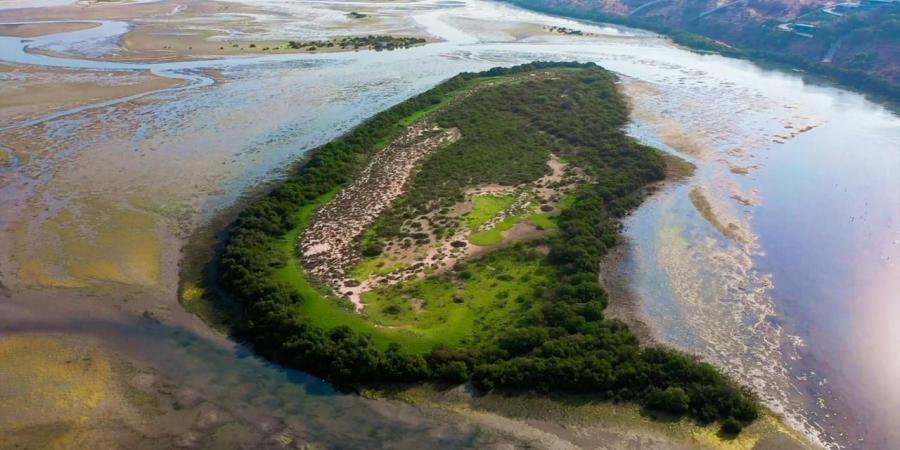 «خور المزاحمي».. واجهة الموائل الطبيعية في رأس الخيمة - اخبارك الان