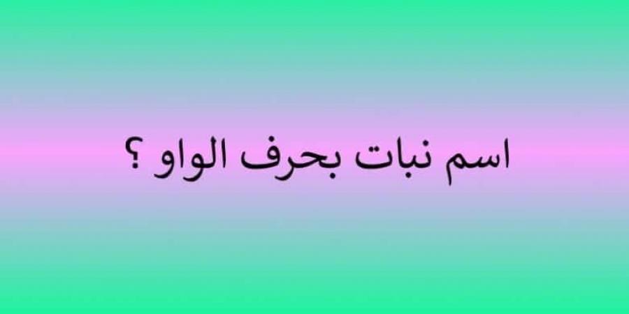 اسم بحرف الواو: اكتشف أسماء مميزة تحمل هذا الحرف