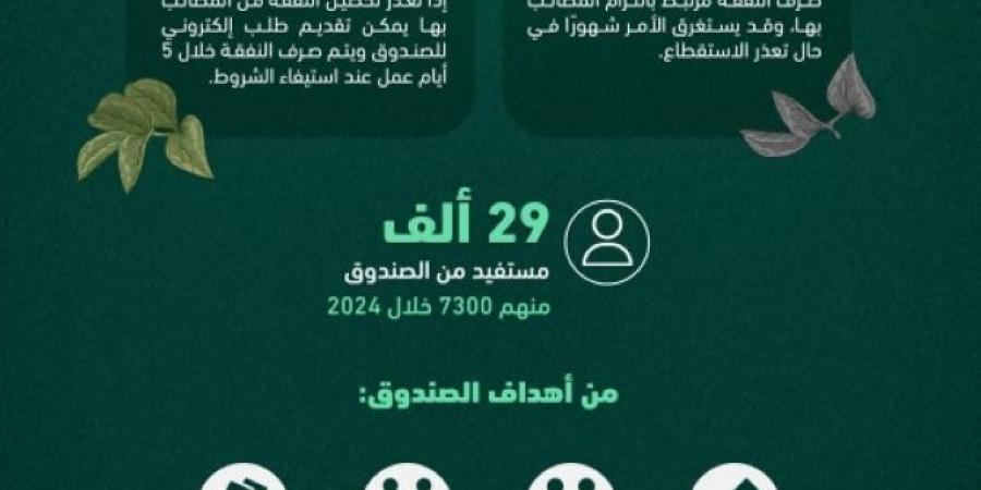 صندوق النفقة.. إجراءات إلكترونية ميسّرة تضمن صرف النفقة للمستفيدين دون تأخير - اخبارك الان