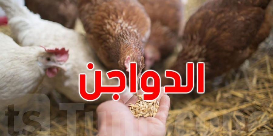 رئيس غرفة تجار الدواجن واللّحوم البيضاء: هناك تراجع في الإنتاج وهذه تسعيرة الدجاج..التفاصيل - اخبارك الان