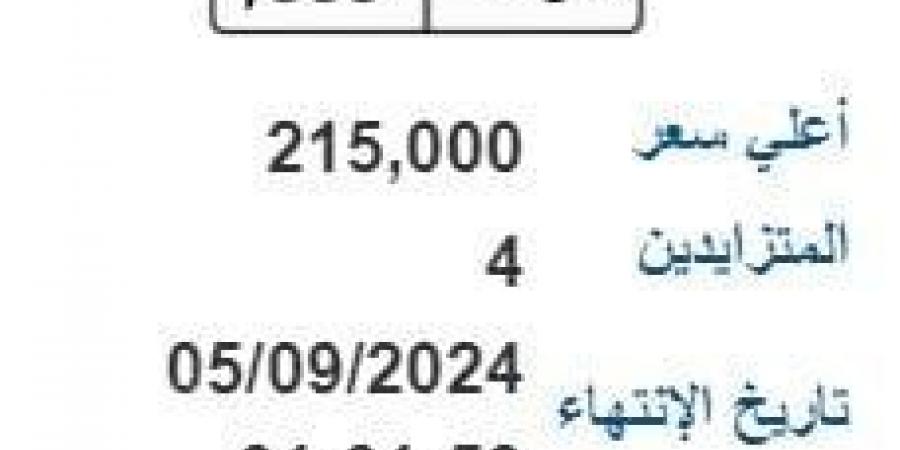 صور.. بطل بـ 350 ألف وبوب بـ 1.5 مليون جنيه.. أسعار اللوحات المعدنية المميزة - اخبارك الان