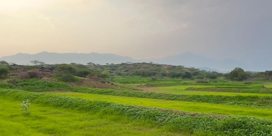 جمال الطبيعة والمرتفعات بالعارضة يجعلها من أفضل الوجهات السياحية - اخبارك الان