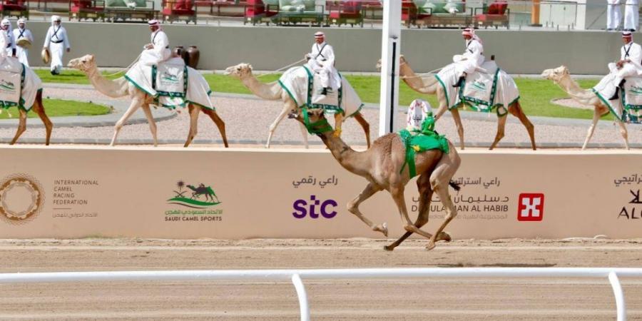 أخبار الرياضة - توِّجت بكأس ولي العهد.. «العلا» تبهج السعوديين - اخبارك الان