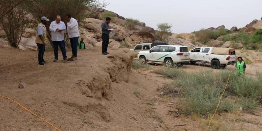 انطلاق المرحلة الثانية لدراسة وتقييم النباتات الغازية بالسعودية - اخبارك الان